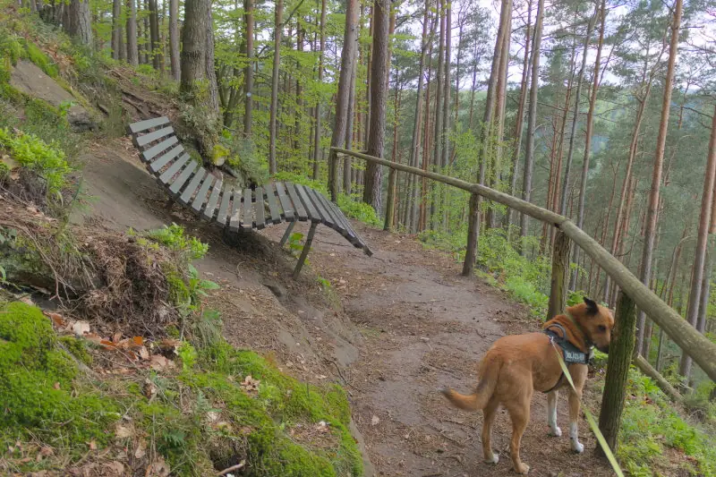 Das Waldsofa