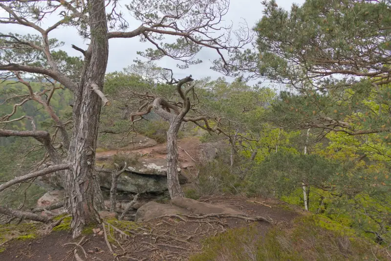 Auf dem Buchkammerfels
